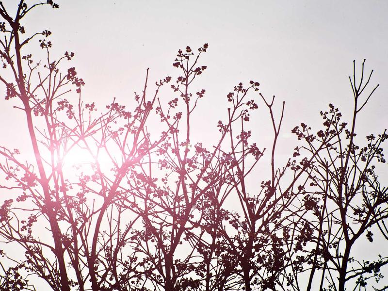 feedback screenshot 3