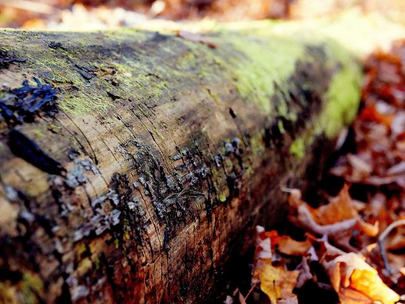 sudoku skill level screenshot 4